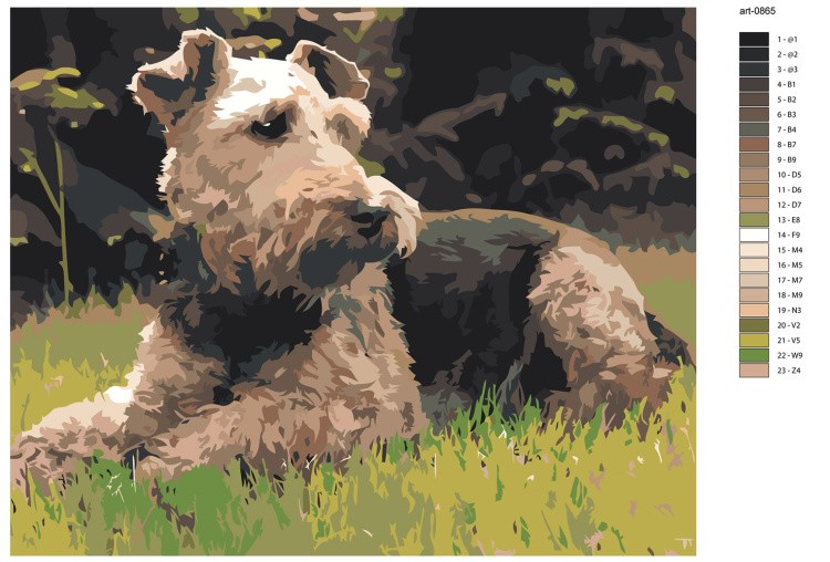 Картина по номерам Собака вельштерьер лежит на траве — картинка 2