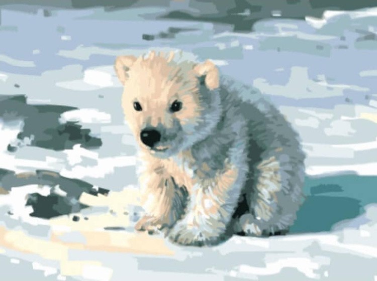 Картина по номерам «Милый медвежонок»