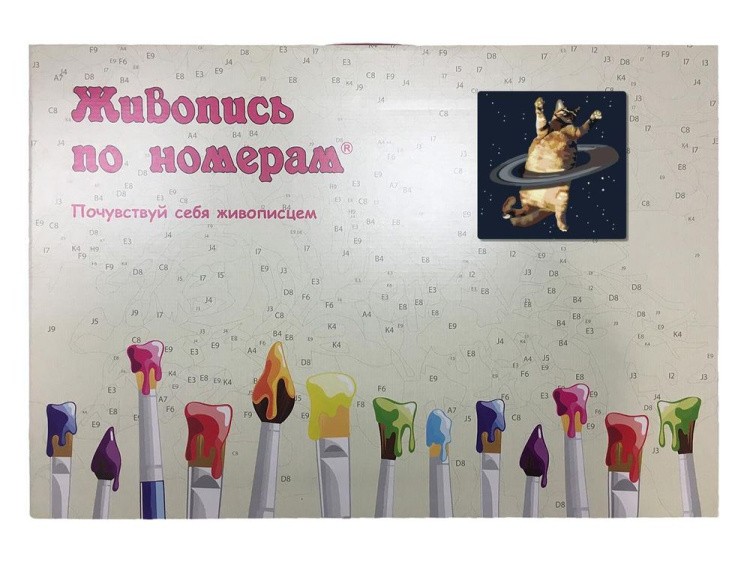Картина по номерам «Танец в космосе» — картинка 3