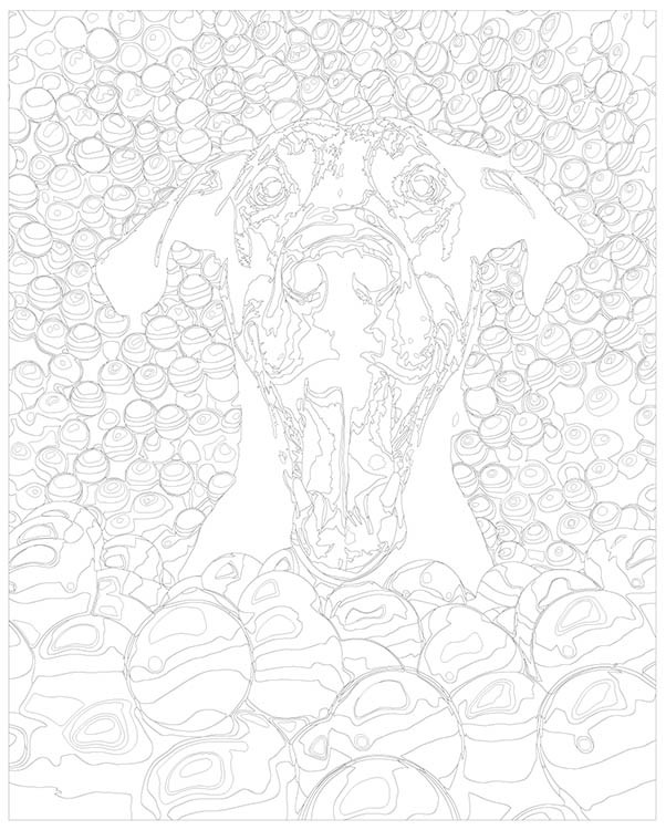 Картина по номерам «Собака доберман в разноцветных мячиках» — картинка 3