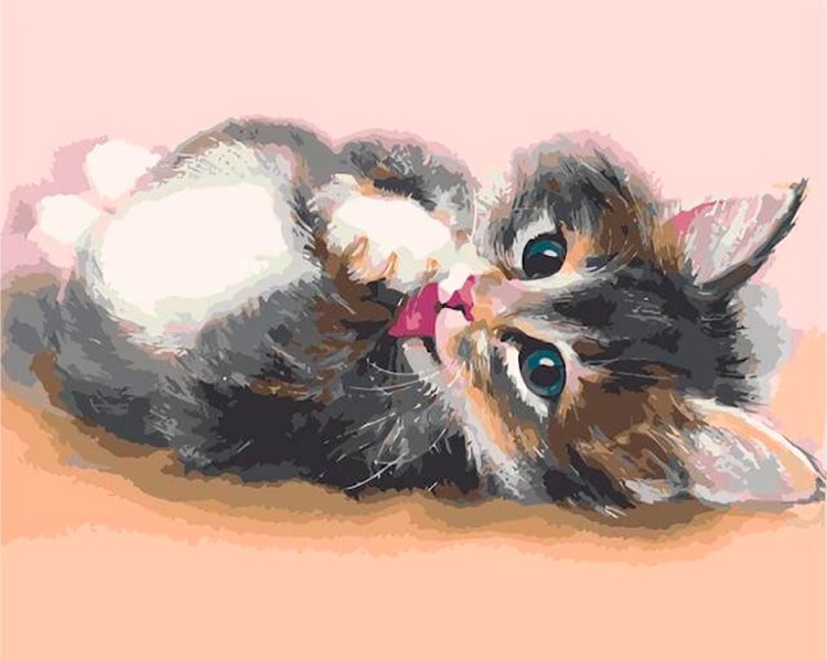 Картина по номерам «Милый котенок»