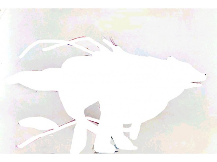 Алмазная вышивка «Летящий волк» — картинка 2