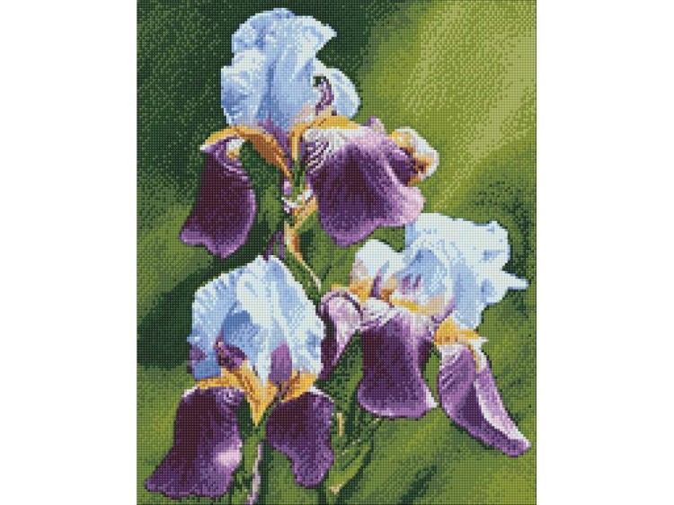 Алмазная вышивка «Ирисы» — картинка 3