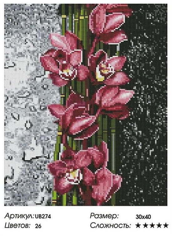 Алмазная вышивка «Распустившаяся орхидея» — картинка 2