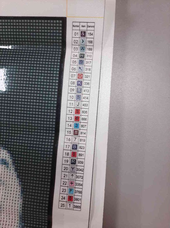 УЦЕНКА. Алмазная вышивка «Девушка загадка» (порвана упаковка) — картинка 3