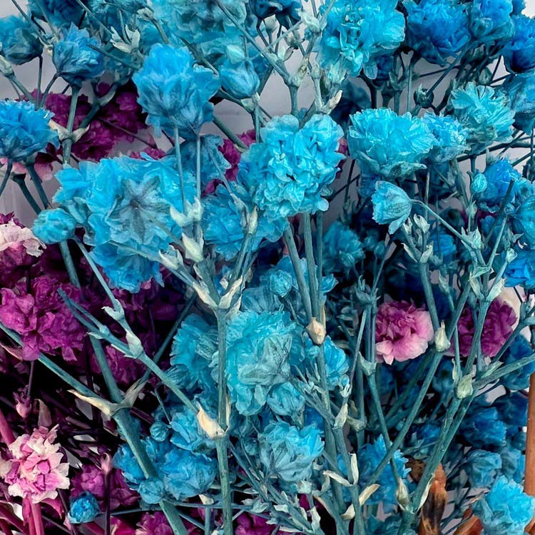 Сухоцветы Гипсофилы, 1 упаковка — картинка 4