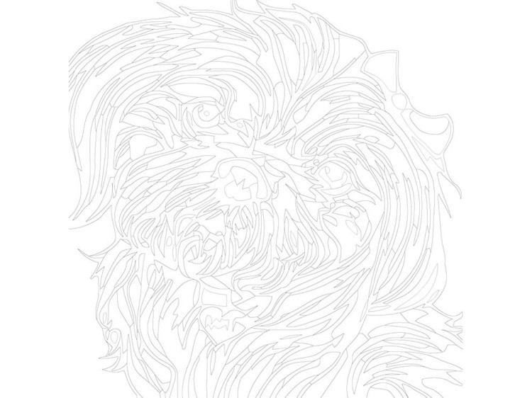 Картина по номерам «Разноцветная болонка» — картинка 3