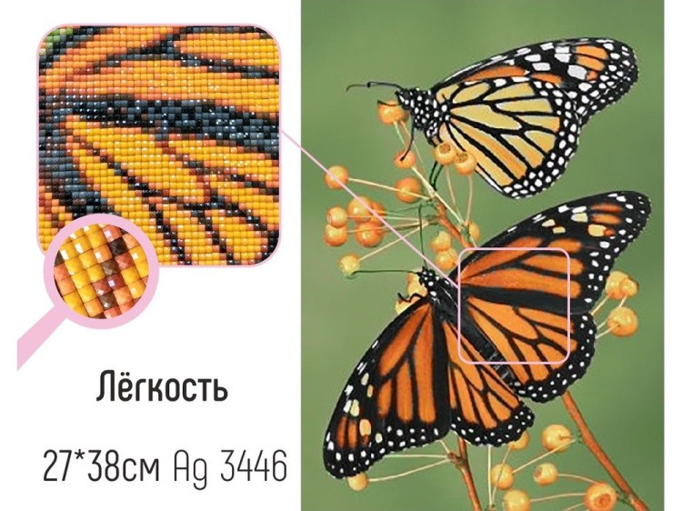 Алмазная вышивка «Лёгкость» — картинка 3