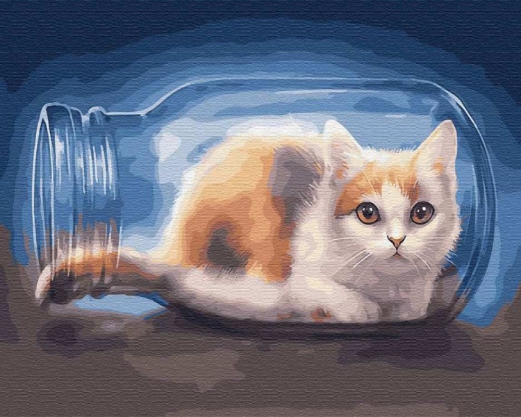 Картина по номерам «Кот в банке»