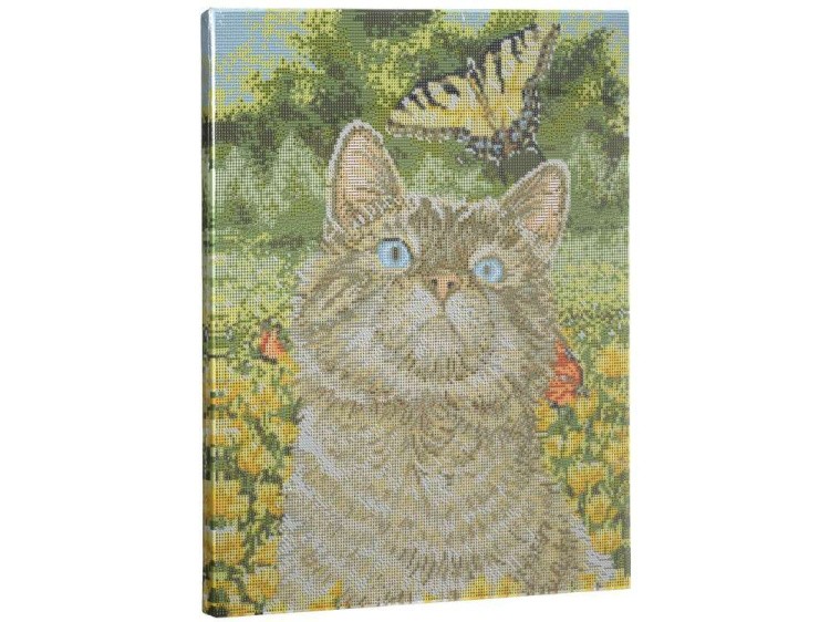 Алмазная вышивка «Любование» — картинка 2