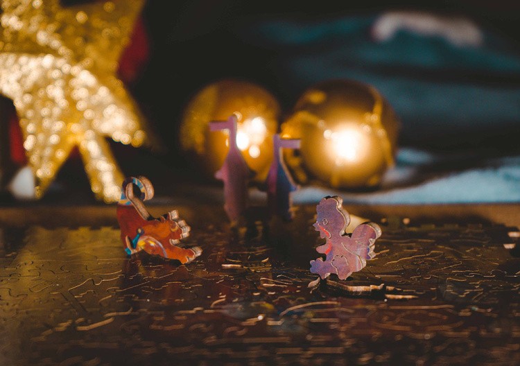 Деревянные пазлы DAVICI «Кукольный домик» — картинка 6