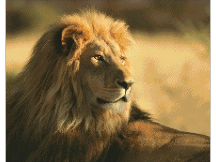 Алмазная вышивка «Царь зверей» — картинка 2