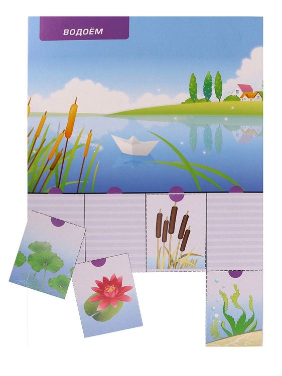 Первые уроки «Что где растет?» — картинка 8