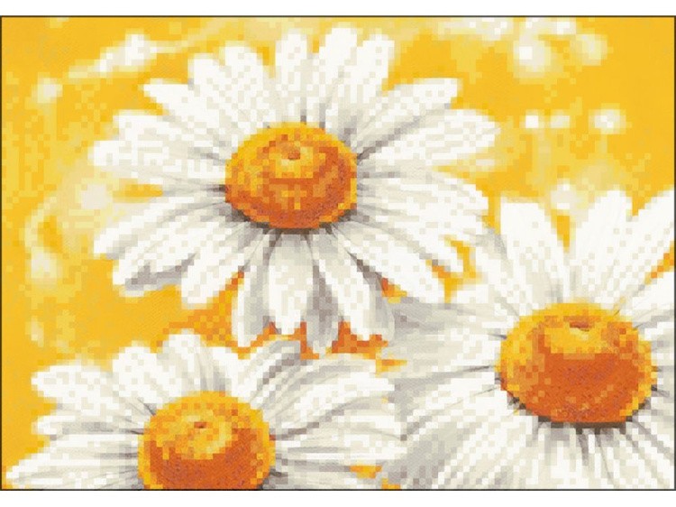 Алмазная вышивка «Летние ромашки» — картинка 2