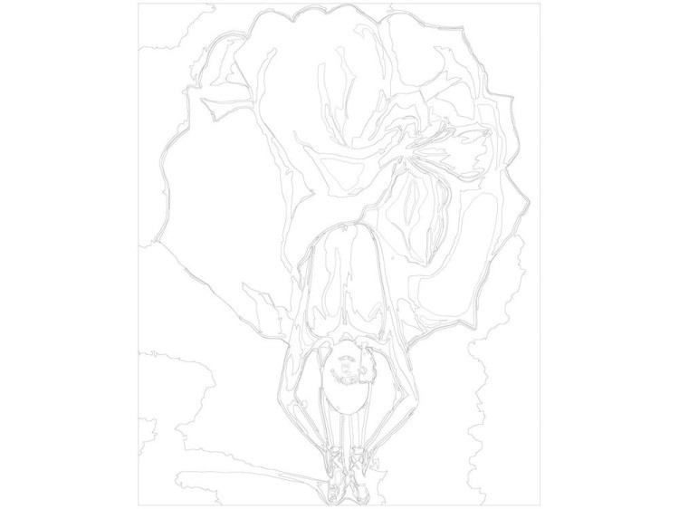 Картина по номерам «Цветочный поклон» — картинка 3