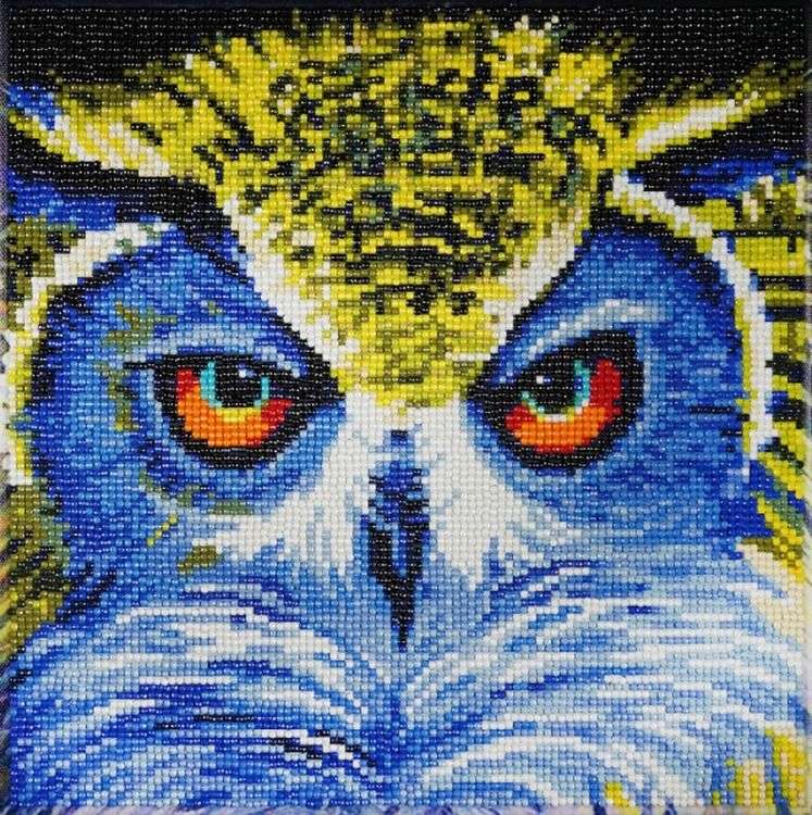 Алмазная вышивка «Взгляд совушки» — картинка 2