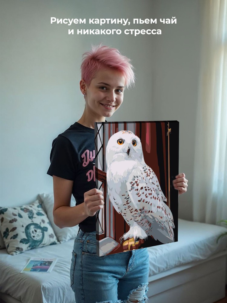 Картина по номерам Гарри Поттер сова Букля в Хогвартсе — картинка 6