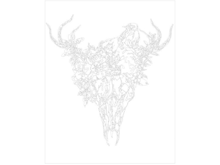 Картина по номерам «Череп» — картинка 3