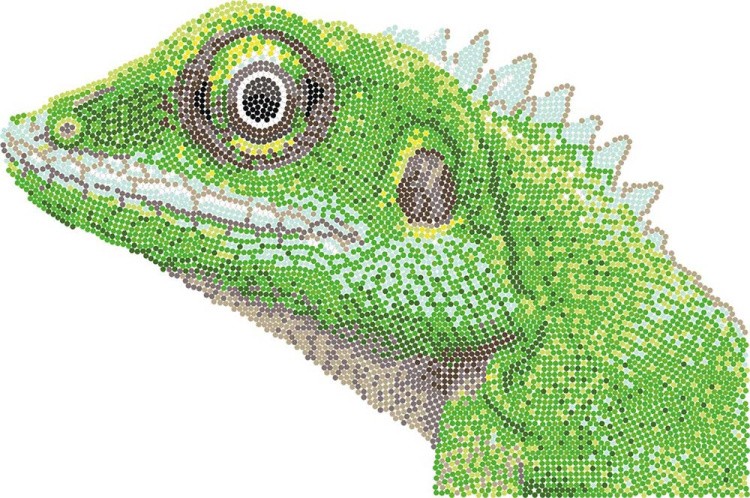 Алмазная вышивка «Постер. Ящерица» — картинка 2