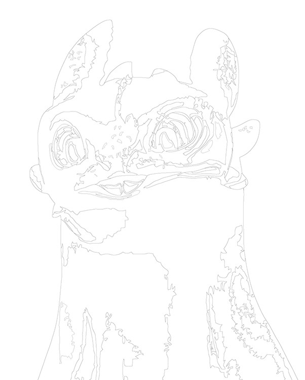 Картина по номерам «Как приручить дракона: Беззубик 40х50» — картинка 3