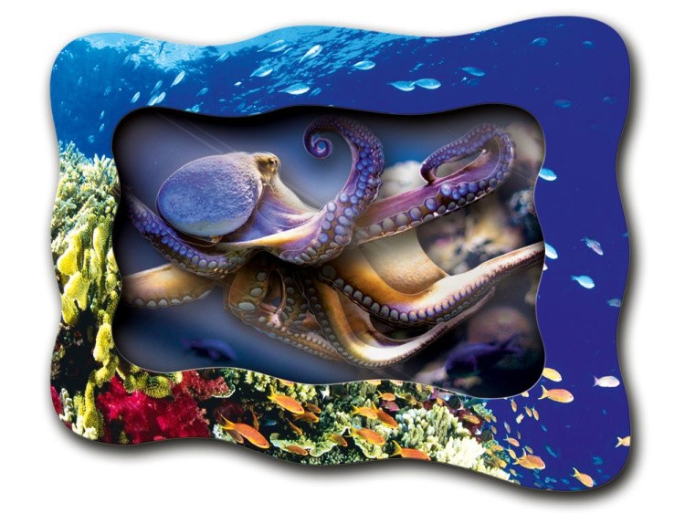 Объемная картина «Осьминожка» — картинка 3