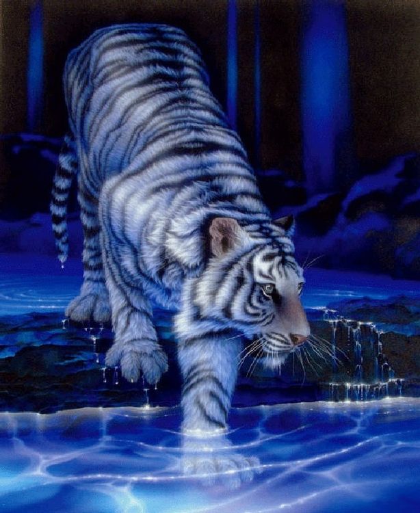 Алмазная вышивка «Тигр на водопое»