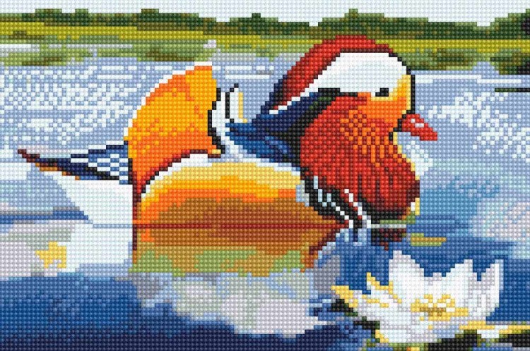 Алмазная вышивка «Мандаринка» — картинка 2