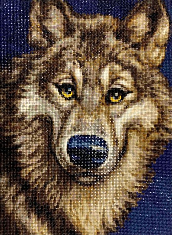 Алмазная вышивка «Волчок» — картинка 2