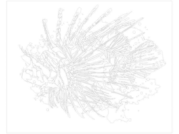 Картина по номерам «Экзотическая рыбка» — картинка 3