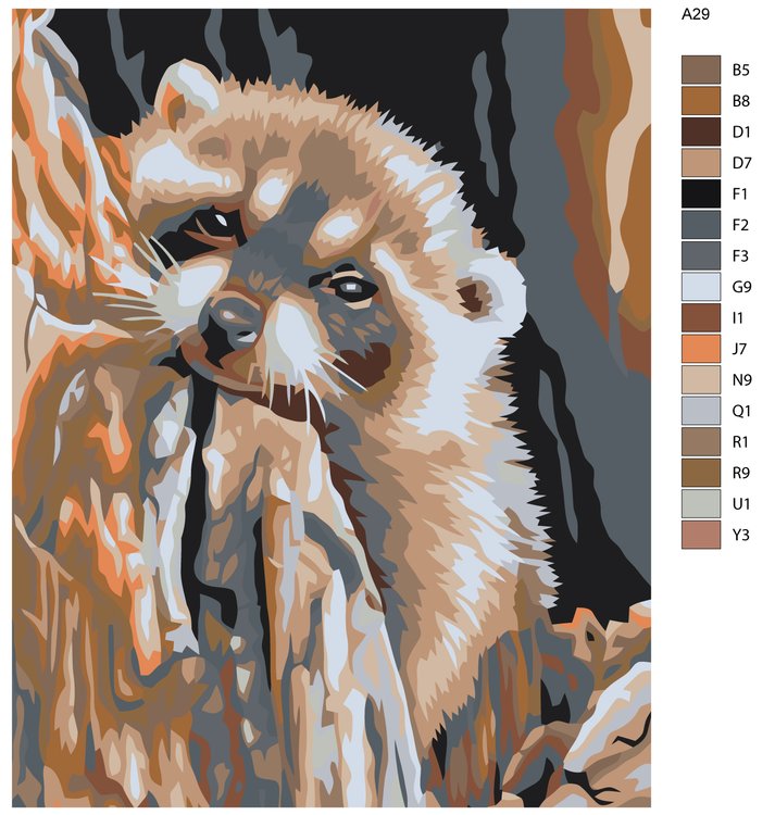 Картина по номерам «Мечтающий енот» — картинка 2