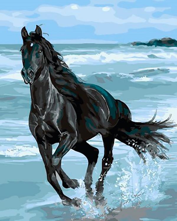 Картина по номерам «Вороной конь»