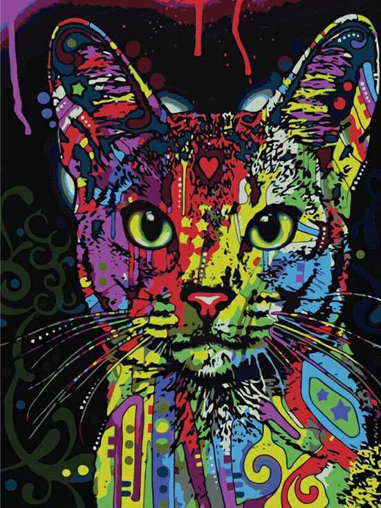 Картина по номерам «Абиссинский кот»
