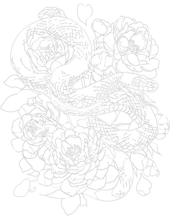 Картина по номерам «Зеленая змея и пионы, животные 40x50» — картинка 3