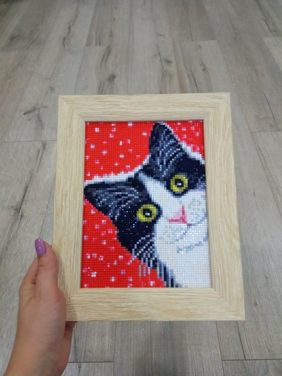 Алмазная вышивка «Праздничный кот» — картинка 3