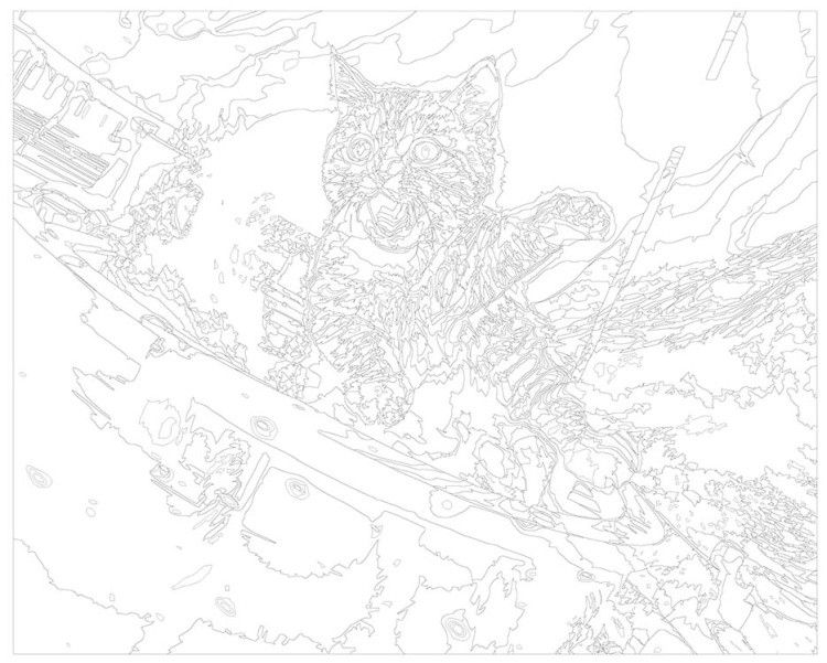 Картина по номерам «Котенок и крушение корабля» — картинка 3