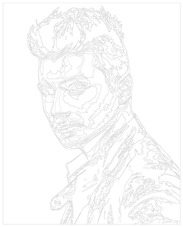 Картина по номерам «Российский музыкант Сергей Лазарев 1» — картинка 3