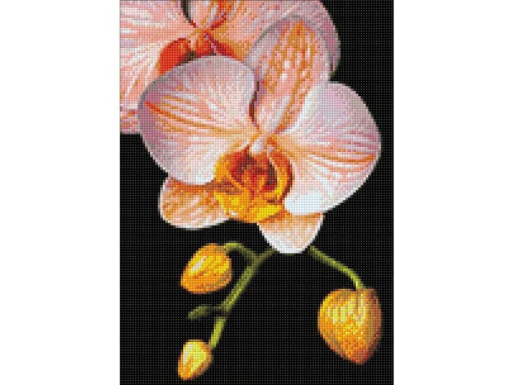 Алмазная вышивка «Изящная орхидея» — картинка 3