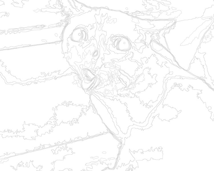 Картина по номерам «Мем, коты из мемов: Белый кот чб 40x50» — картинка 3