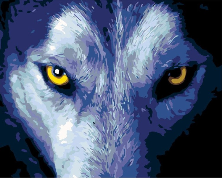 Картина по номерам «Волчий взгляд»