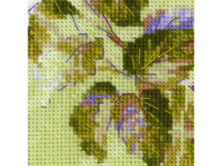 Набор для вышивания «Сладкий инжир» — картинка 4