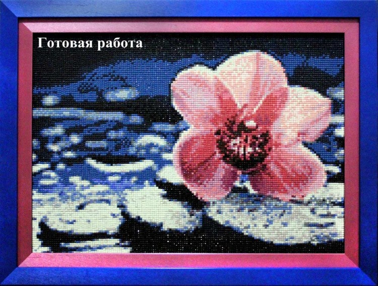 Алмазная вышивка «Орхидея Ванда» — картинка 3