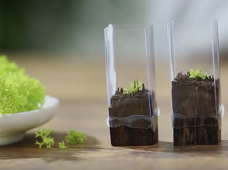 Мох ягель стабилизированный светло-зеленый — картинка 4