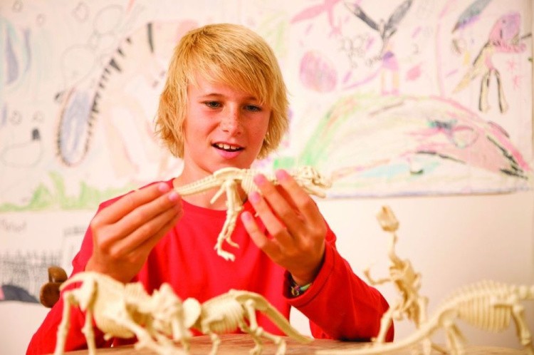 Набор юного археолога «Скелет Велоцираптора» — картинка 3