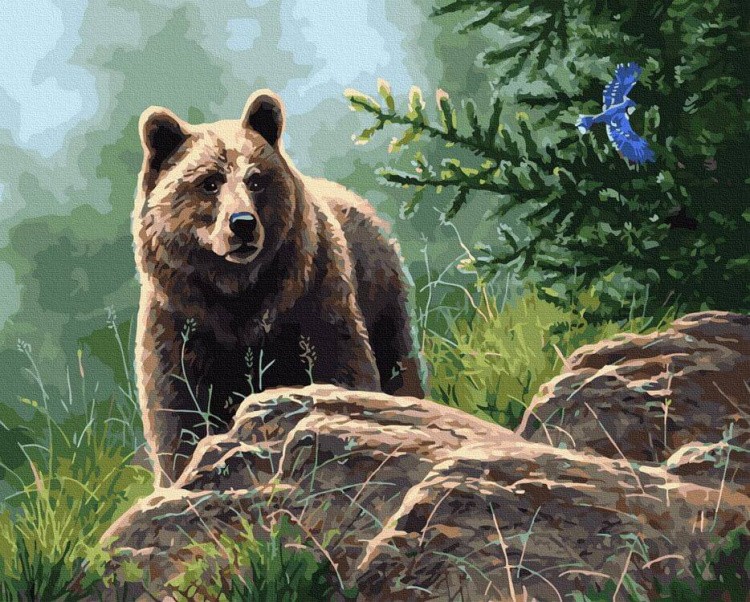 Картина по номерам «Сибирский бурый медведь»