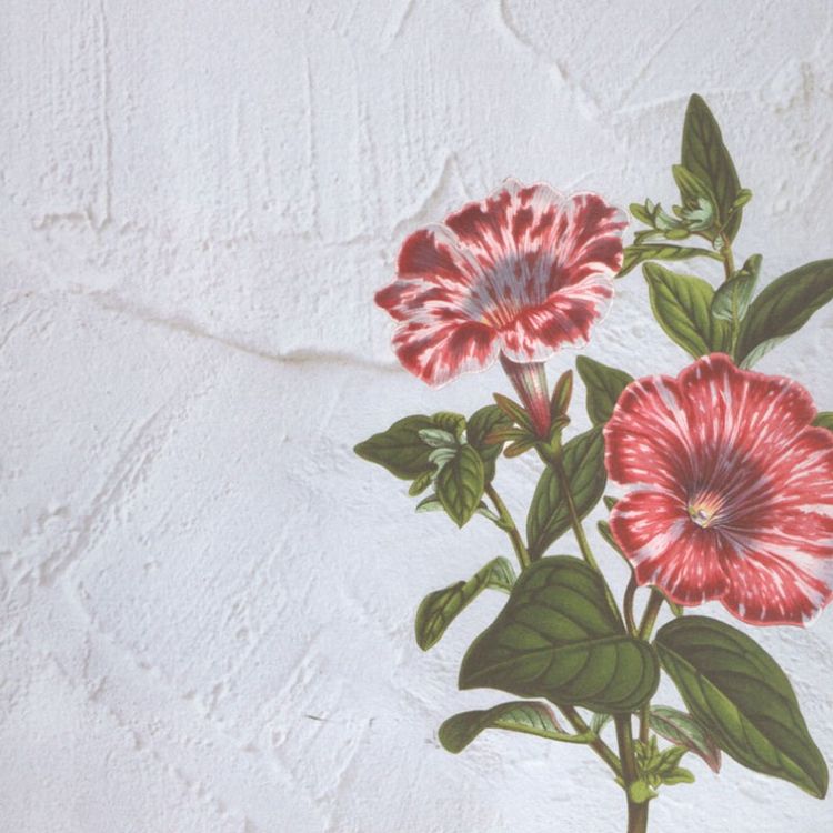 Набор бумаги для скрапбукинга «Арабеска» 30,5x30,5 см — картинка 17