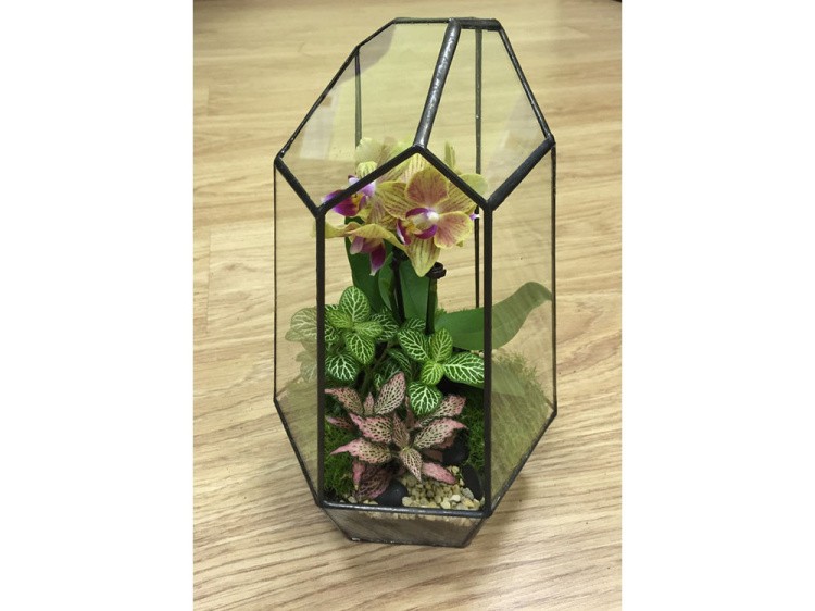 Флорариум башенка — картинка 2