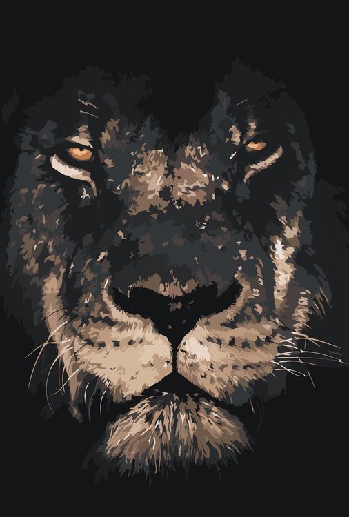 Картина по номерам «Взгляд льва»