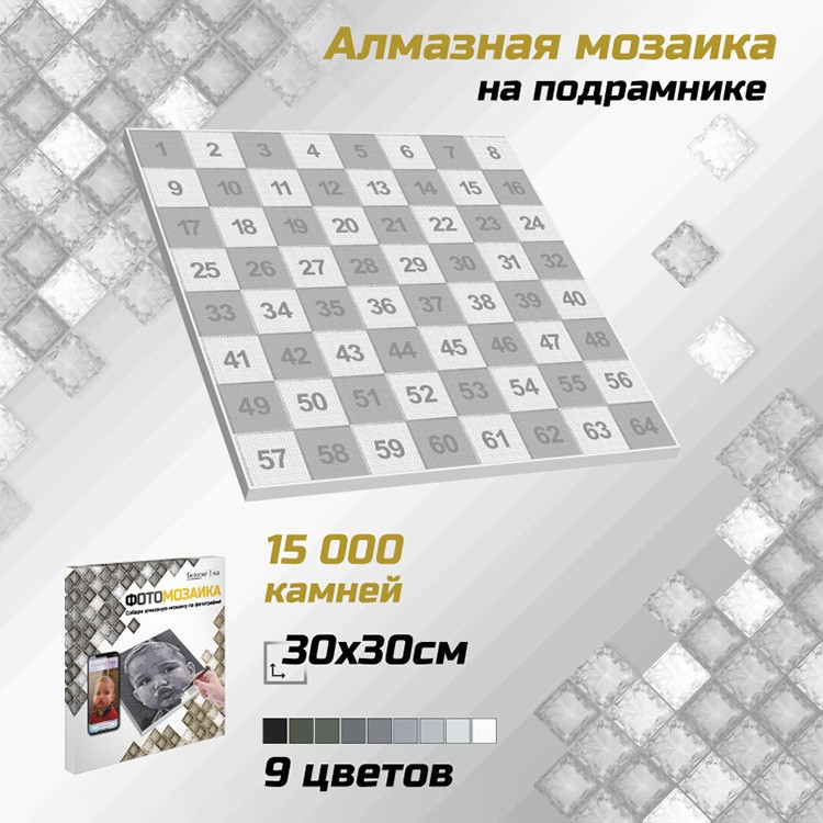 ФотоМозаика. Алмазная мозаика по фото (черно-белые стразы), 30x30 см, Белоснежка — картинка 2