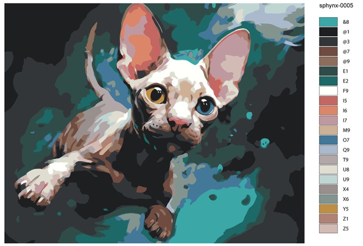 Картина по номерам «Котенок сфинкс» — картинка 2