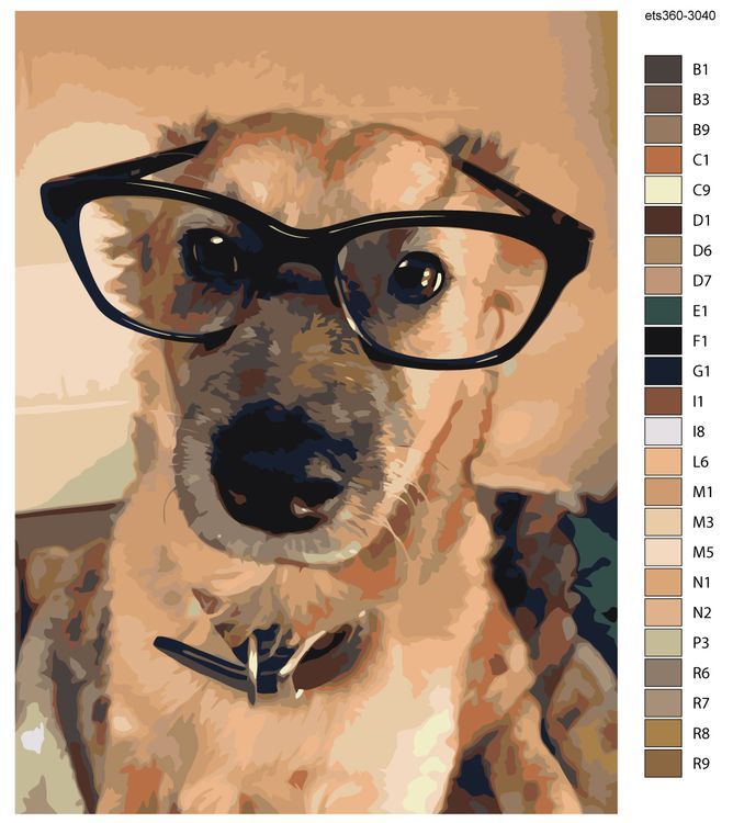 Картина по номерам «Важный пес» — картинка 2